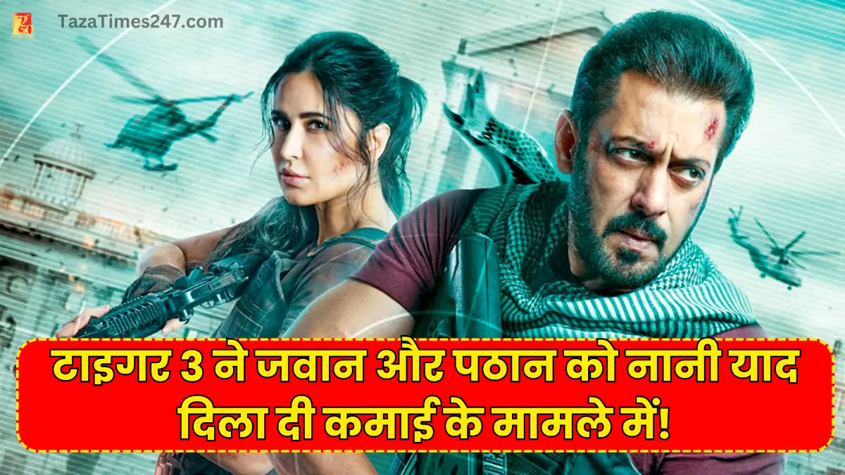 According to New Delhi Tiger 3 Day 3 Box Office Collection